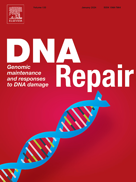 Go to journal home page - DNA Repair